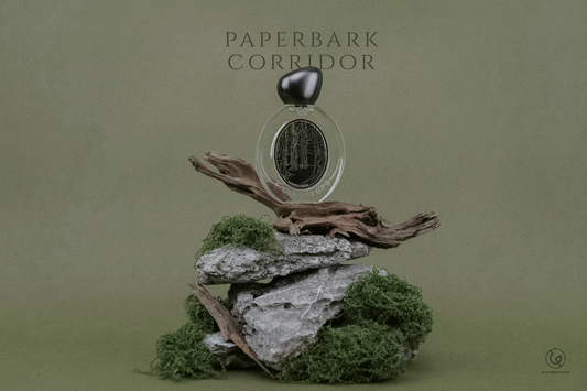 Paperbark Corridor 白千香水 | 綠意樺木 | 香港 Hong Kong Grand Tour | EDP