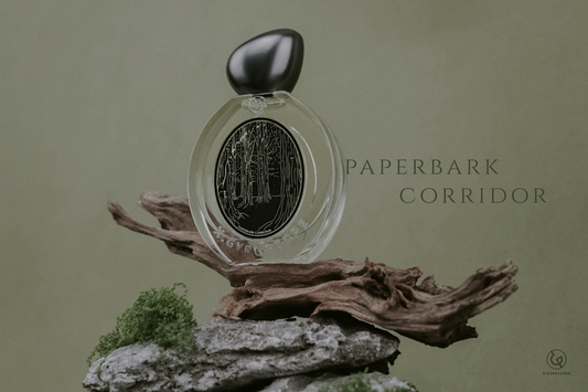 Paperbark Corridor 白千香水 | 綠意樺木 | 香港 Hong Kong Grand Tour | EDP
